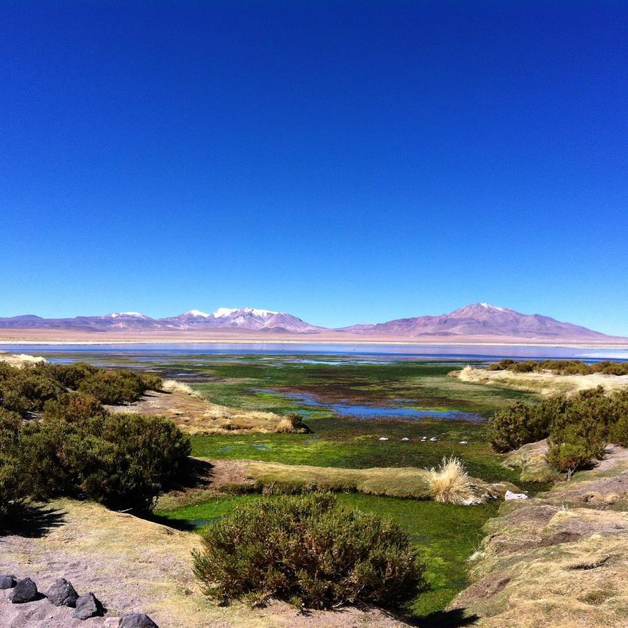 Cota6000 Dpto A Villa San Pedro de Atacama Kültér fotó