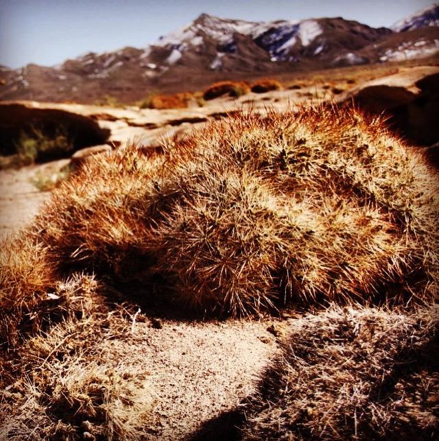 Cota6000 Dpto A Villa San Pedro de Atacama Kültér fotó